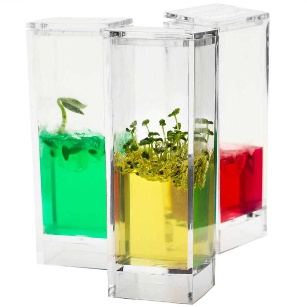 laboratorio-jardin